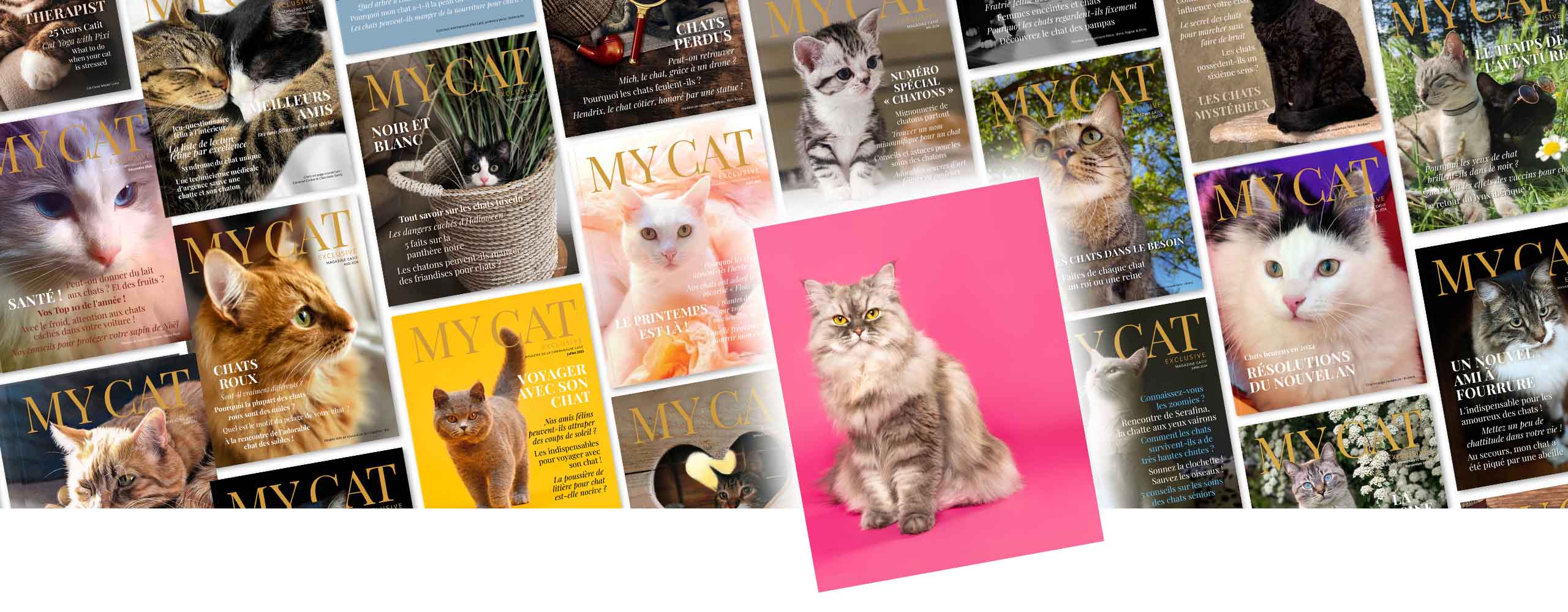 Un collage de couvertures du magazine « My Cat » avec l’image d’un chat persan sur un fond rose vif sur le collage.
