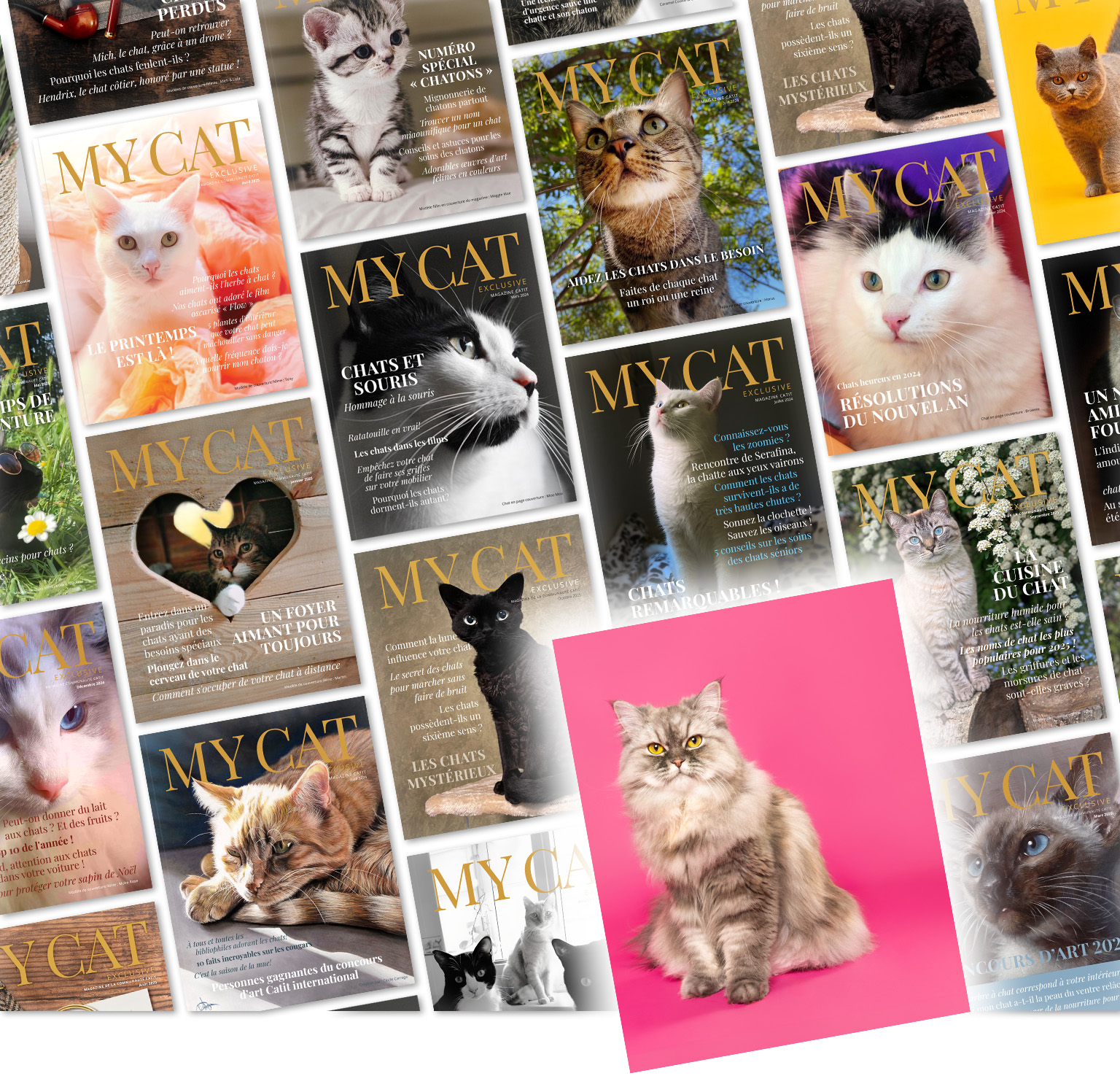 Un collage de couvertures du magazine « My Cat » avec l’image d’un chat persan sur un fond rose vif sur le collage.