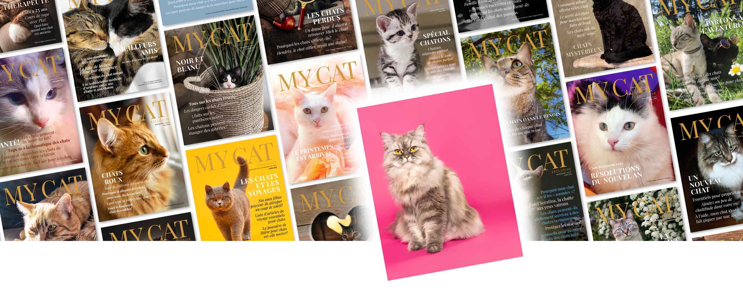 Un collage de couvertures du magazine « My Cat » avec l’image d’un chat persan sur un fond rose vif sur le collage.