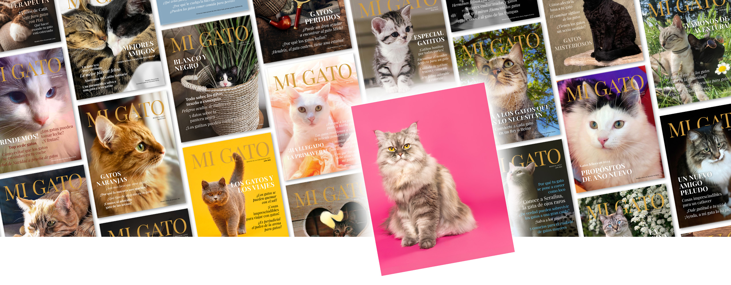 Un collage de portadas de la revista «Mi Gato» con una imagen de un gato persa sobre un fondo rosa brillante en la parte superior del collage.
