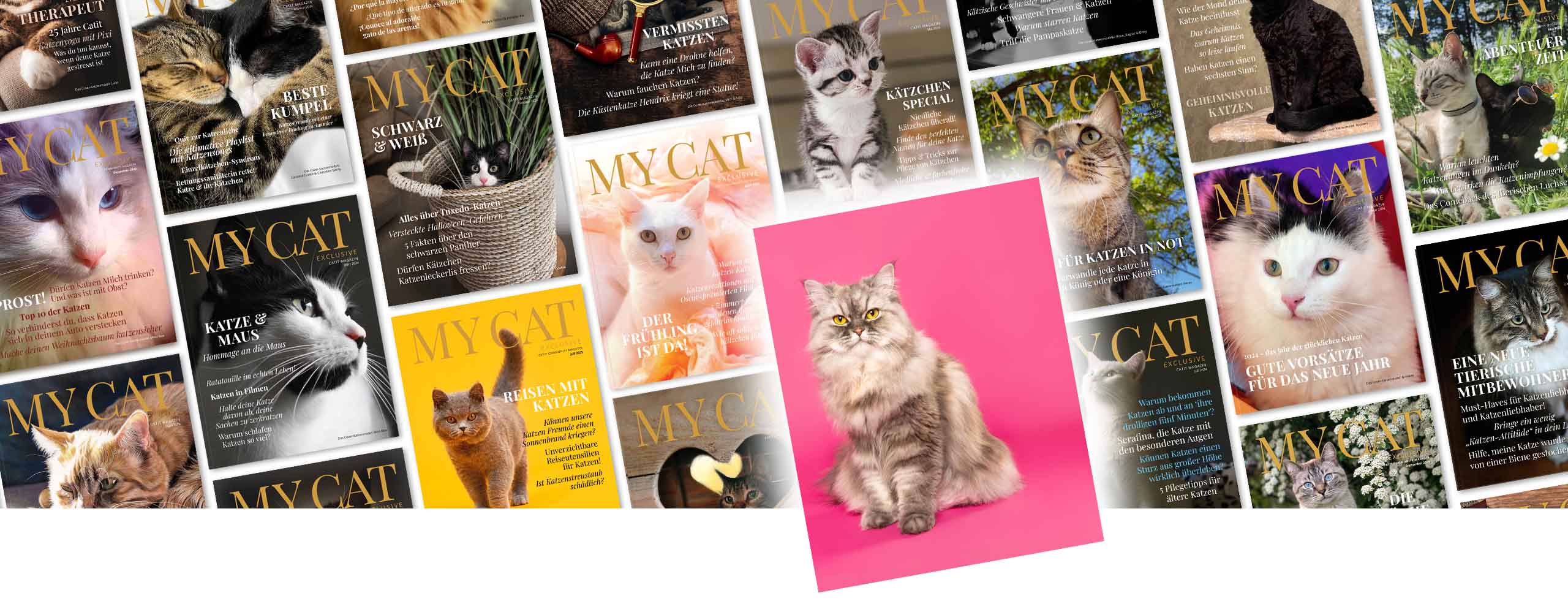 Eine Collage aus Covern des My Cat – Catit Magazin mit dem Bild einer Perserkatze vor einem leuchtend pinkfarbenen Hintergrund über der Collage.