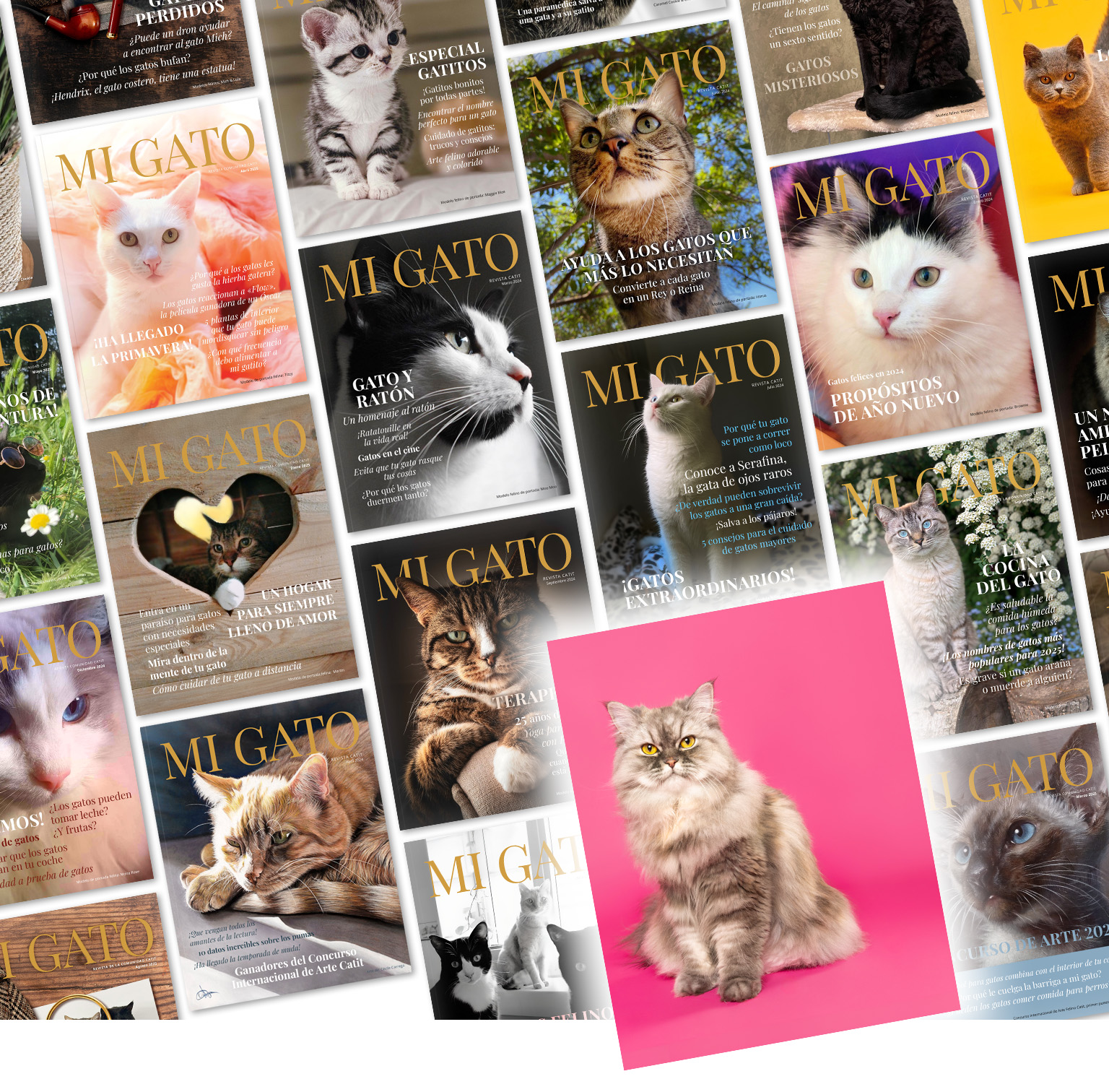 Un collage de portadas de la revista «Mi Gato» con una imagen de un gato persa sobre un fondo rosa brillante en la parte superior del collage.