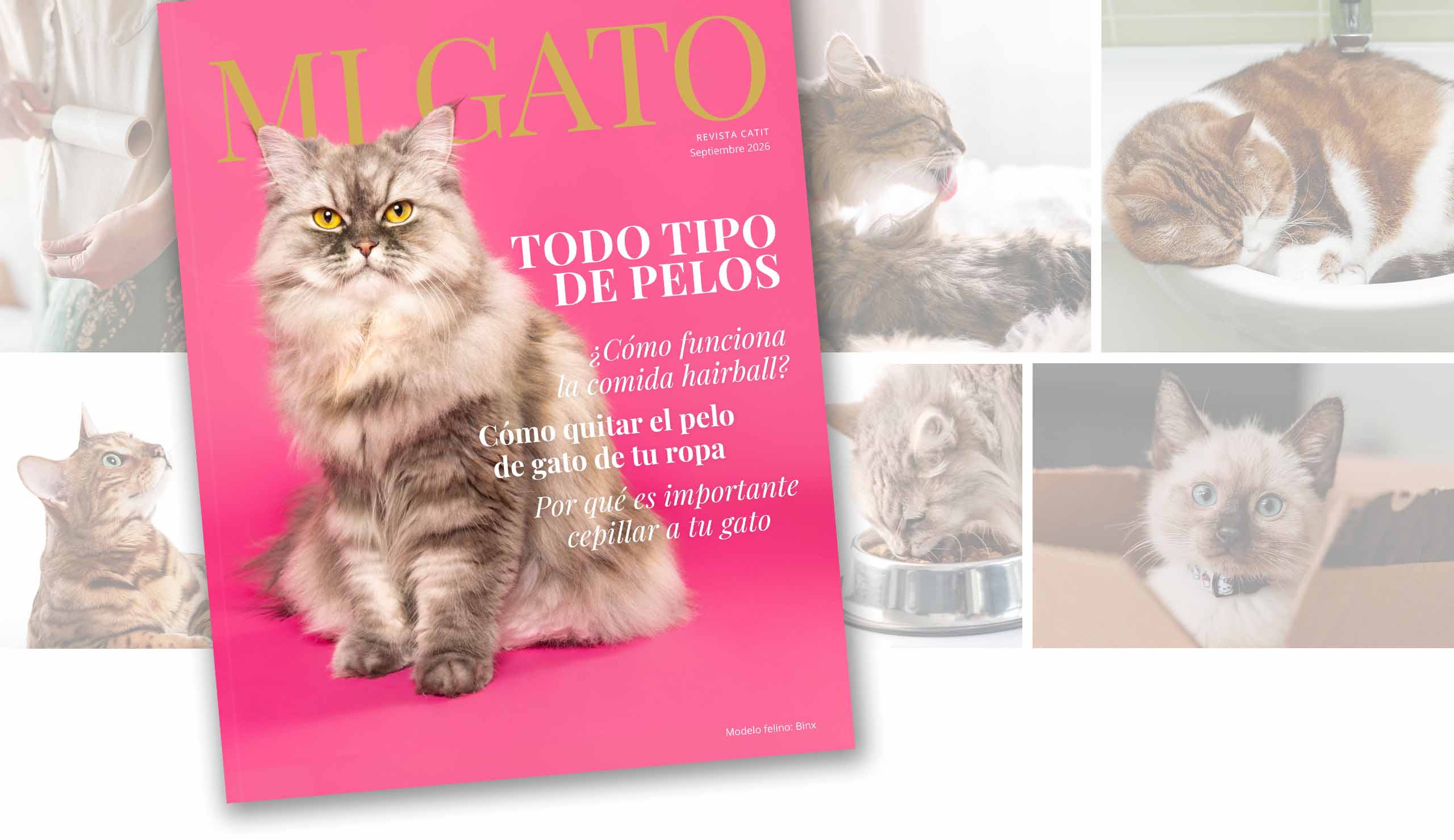 Portada de la revista sobre imágenes que muestran los artículos incluidos en la revista.