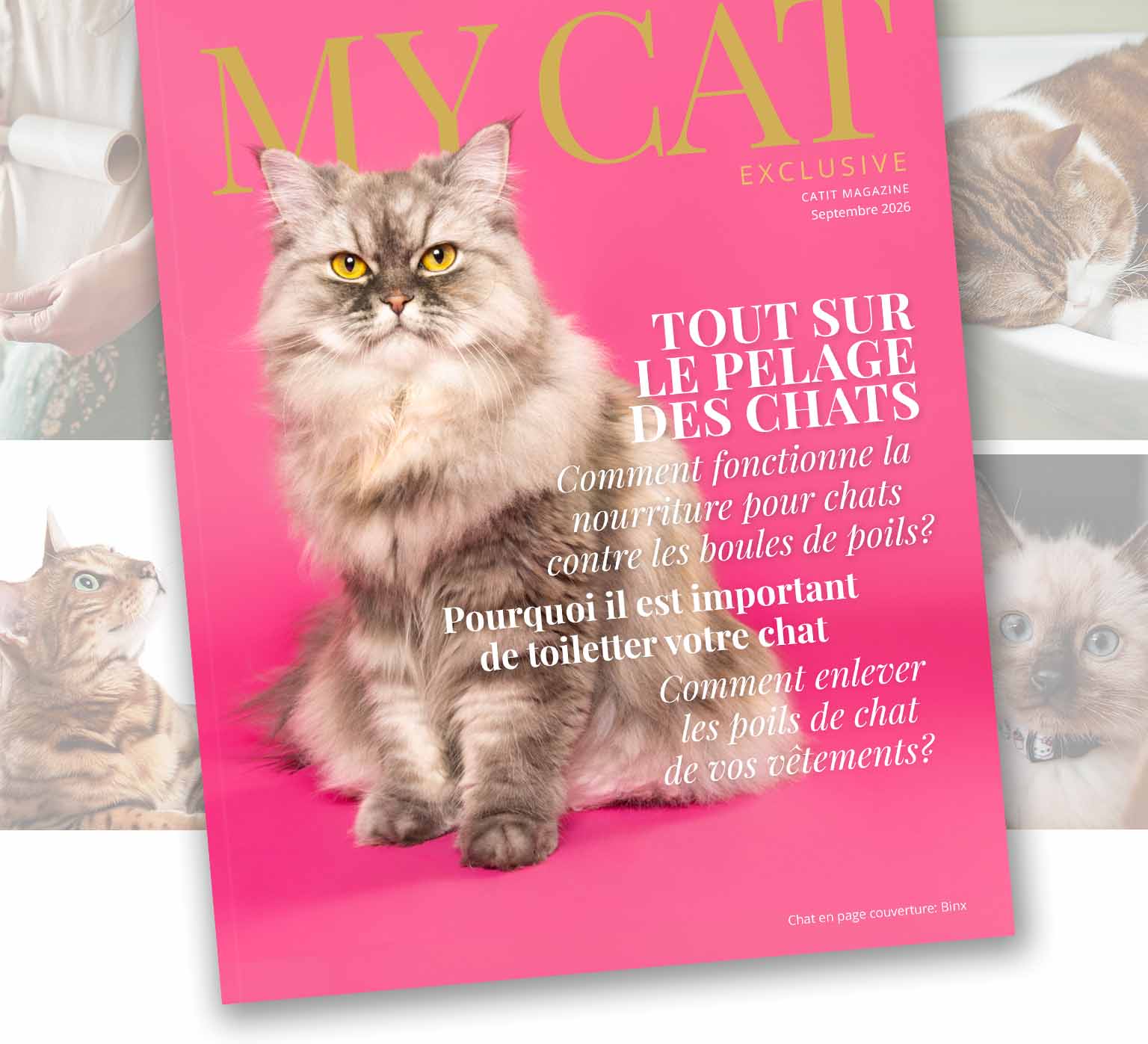 Couverture du magazine posée sur des images présentant les articles du magazine.