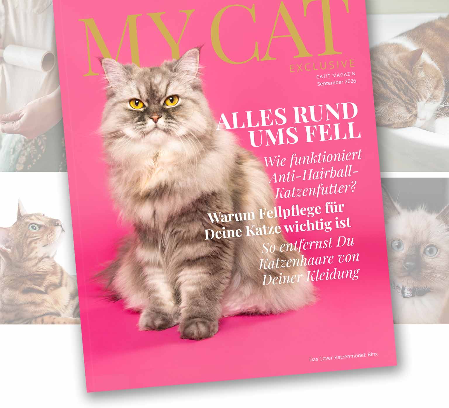 Magazin-Cover auf Bildern liegend, die die im Magazin enthaltenen Blogs zeigen.
