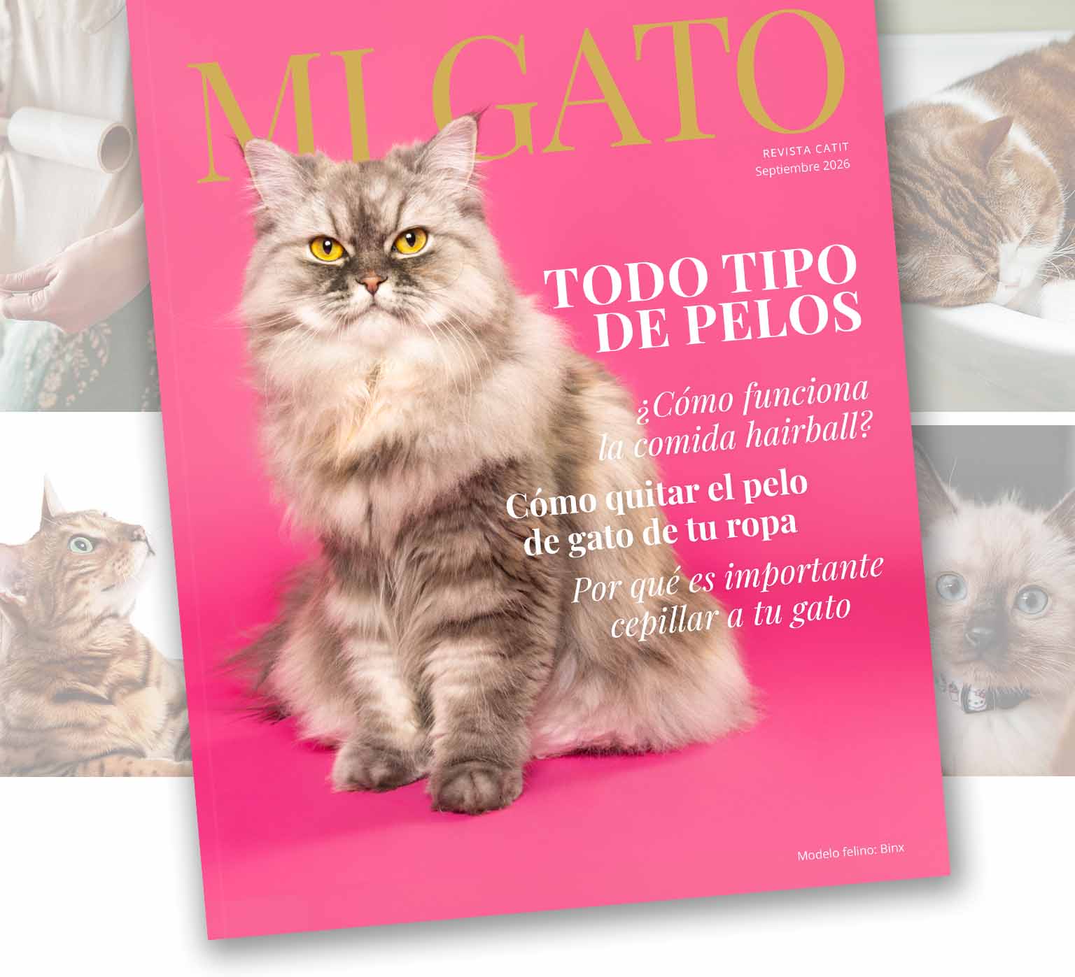 Portada de la revista sobre imágenes que muestran los artículos incluidos en la revista.