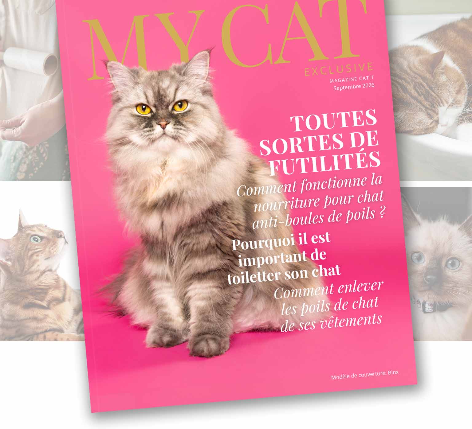 Couverture du magazine posée sur des images présentant les articles du magazine.