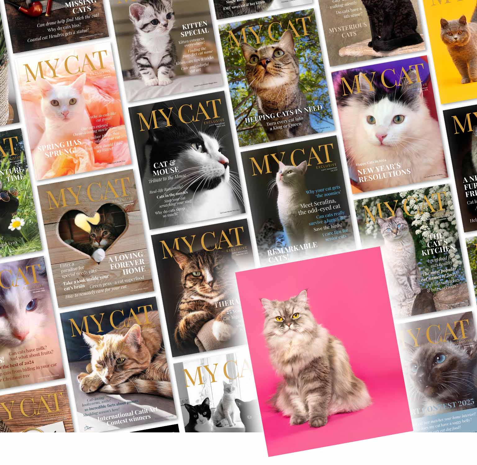 A collage of My Cat Magazine covers with an image of a Persian cat with a bright pink background on top of the collage.