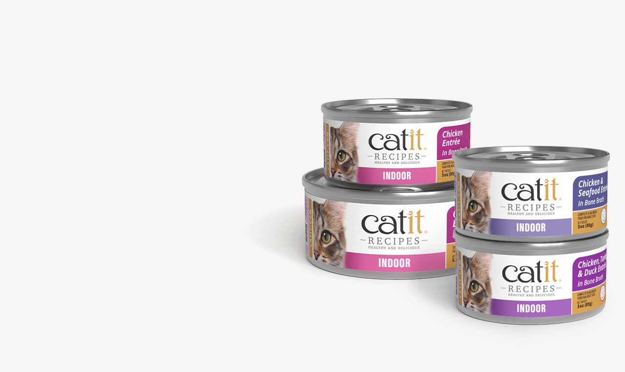 Two cans of Catit Entree Indoor 85g and 156g