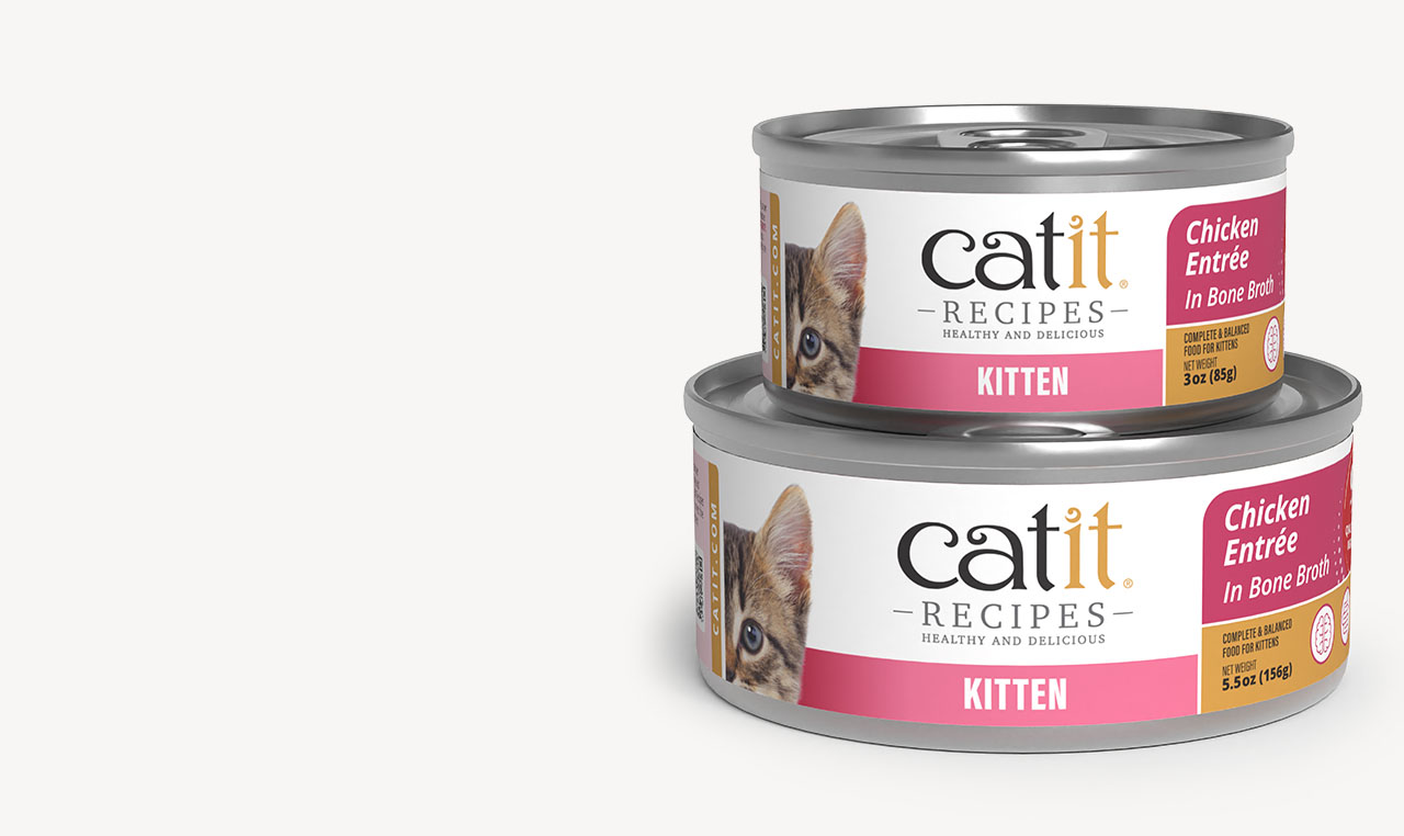 Two cans of Catit Entree Kitten 85g and 156g