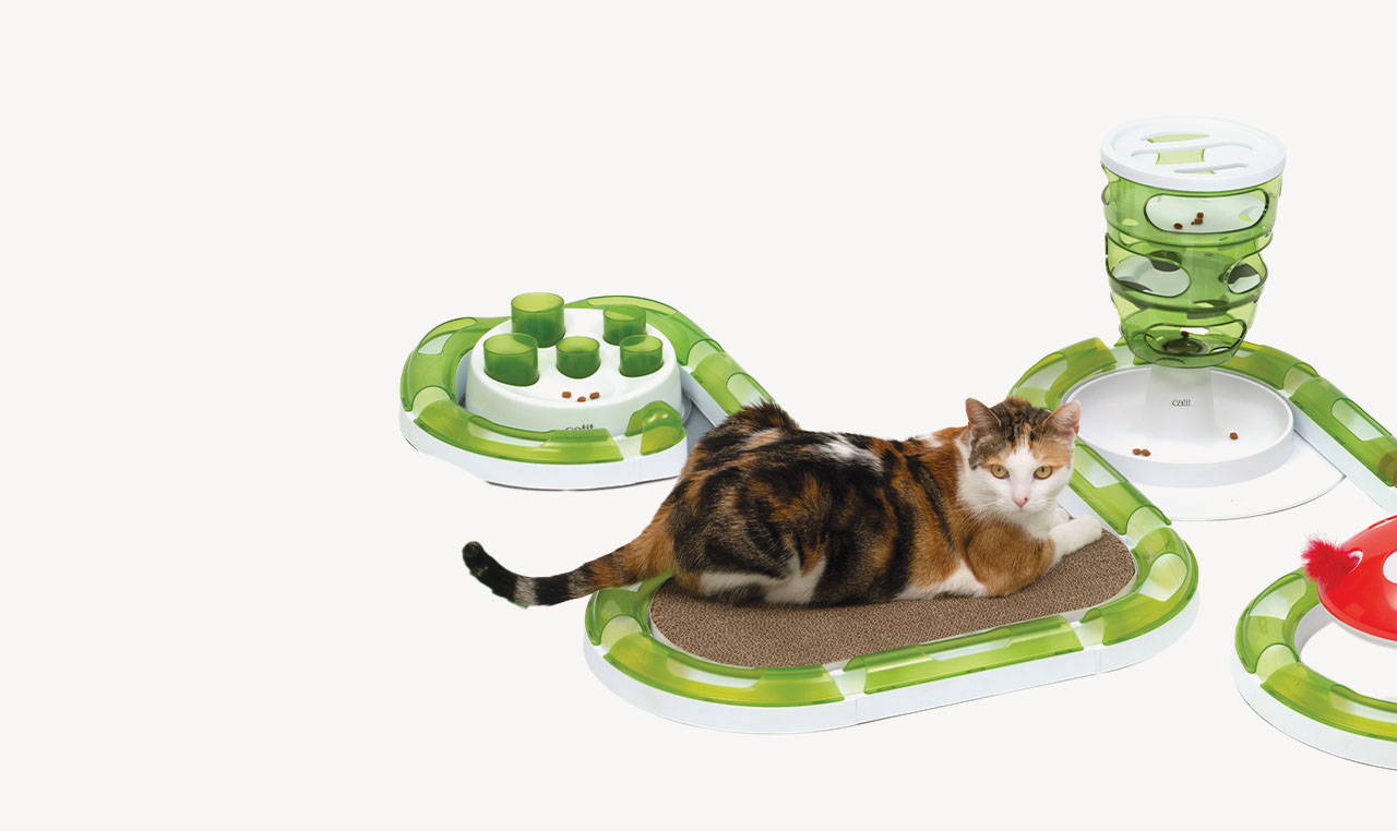 A calico cat resting on a Catit Senses play circuit surrounded by various interactive cat toys and feeders