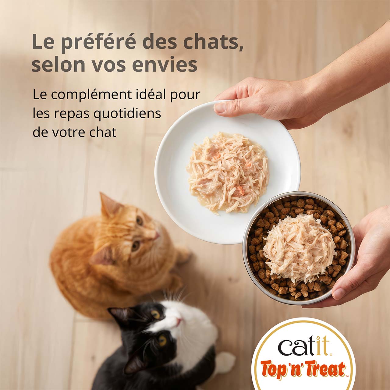 Le favori polyvalent des félins