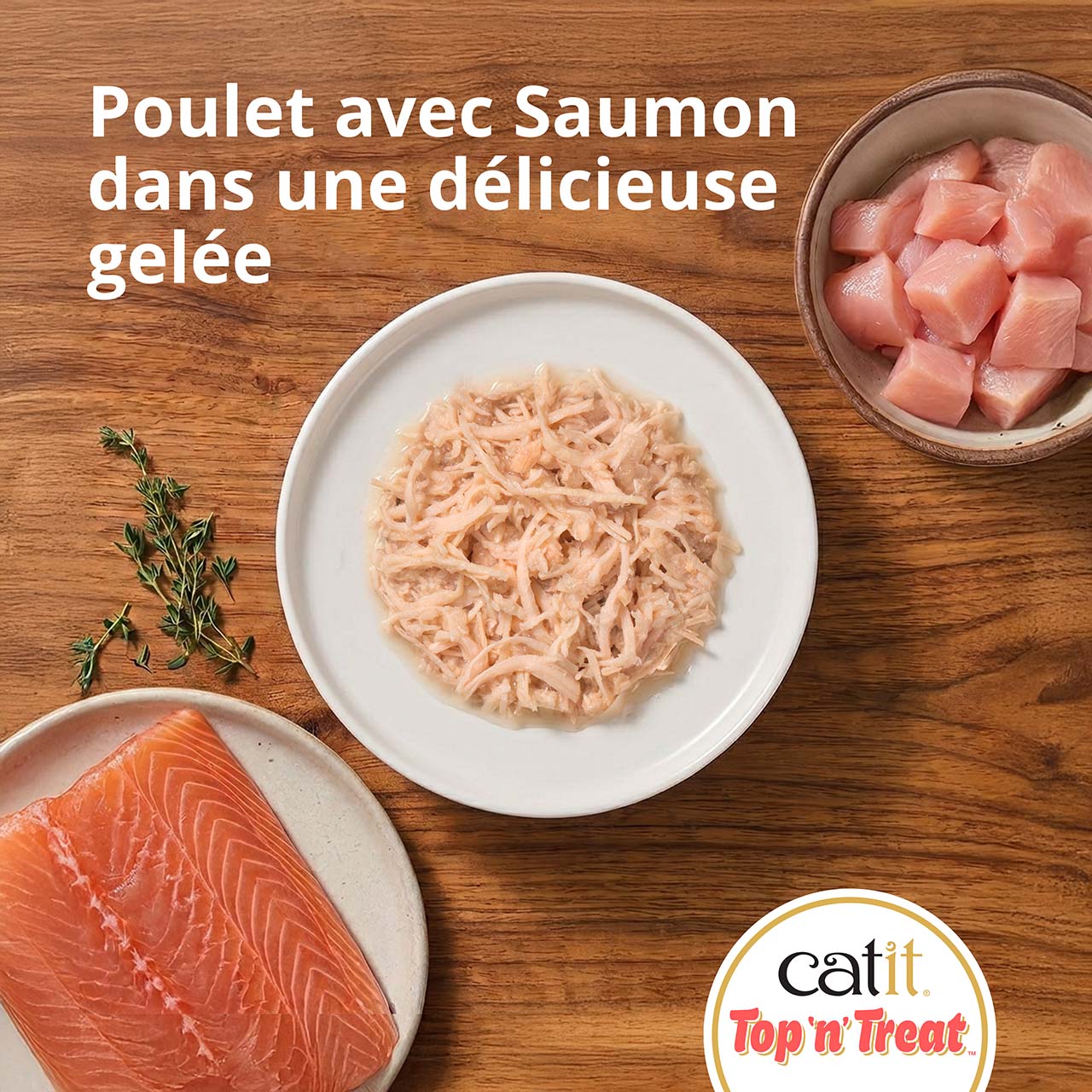 Vue de dessus de Top ’n’ Treat Poulet au saumon