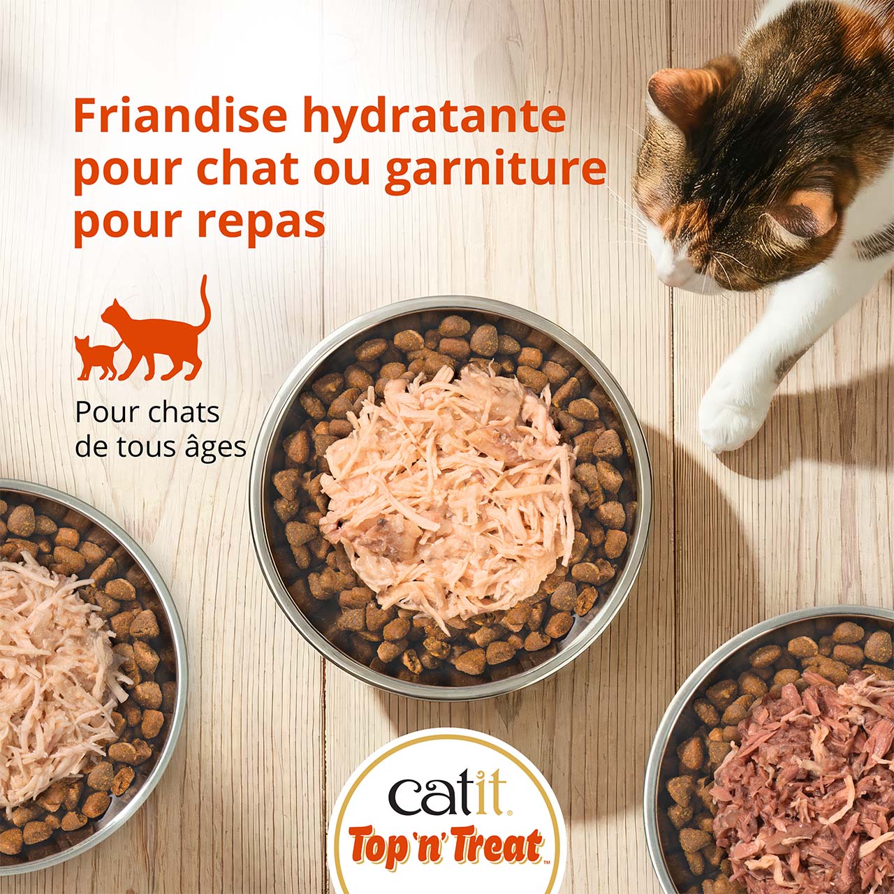Friandise hydratante ou garniture alimentaire pour chats