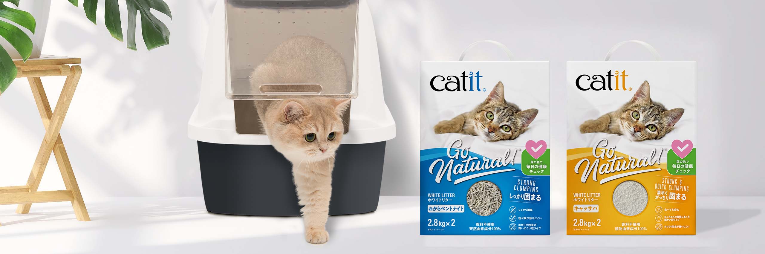 Catit ホワイトリター in room with cat coming out litter box