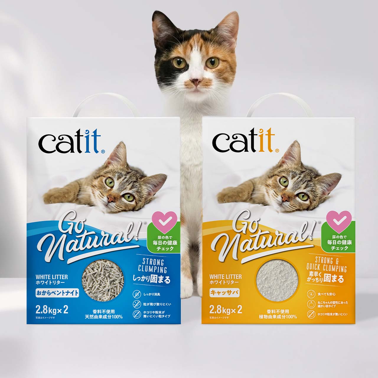 cat behind two litter boxes