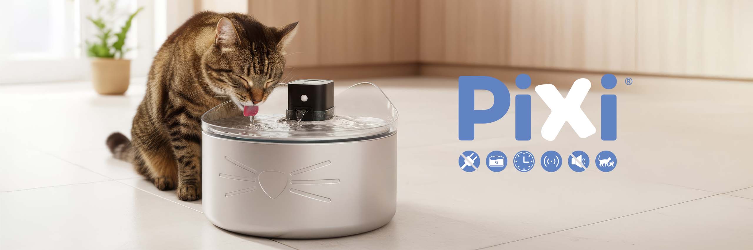 Eine getigerte Katze, die in einer Küchenumgebung aus einem PIXI-Katzen-Trinkbrunnen trinkt