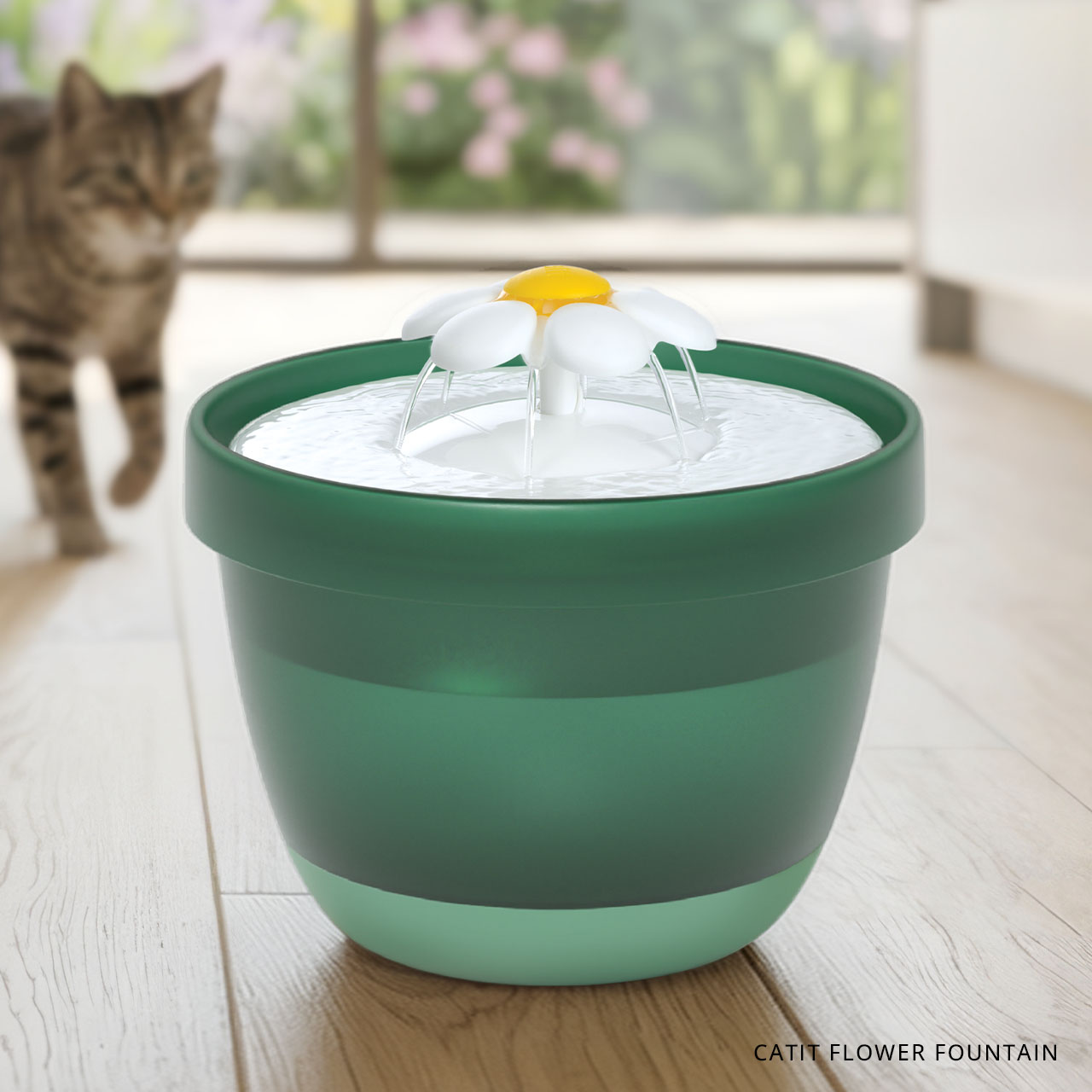 Catit Flower Fountain with a daisy-shaped spout in a green bowl, with a cat in the background
