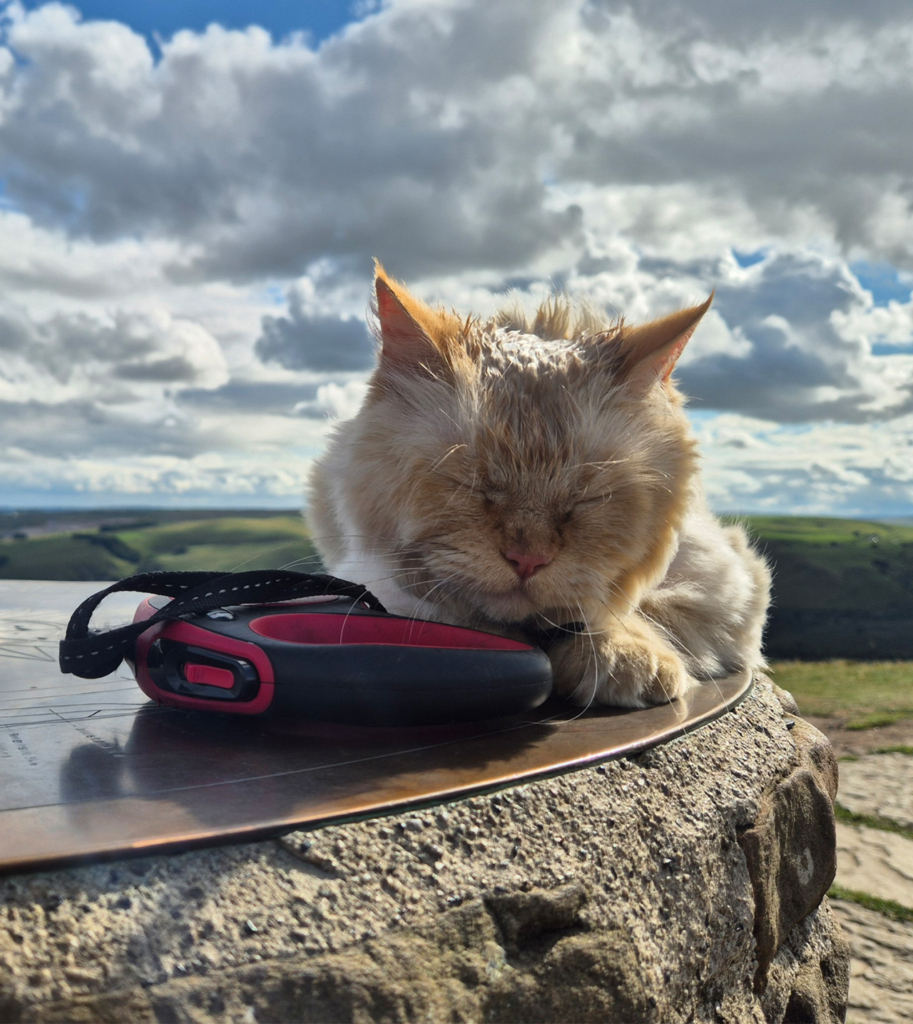 Louis se reposant au sommet d’une montagne.