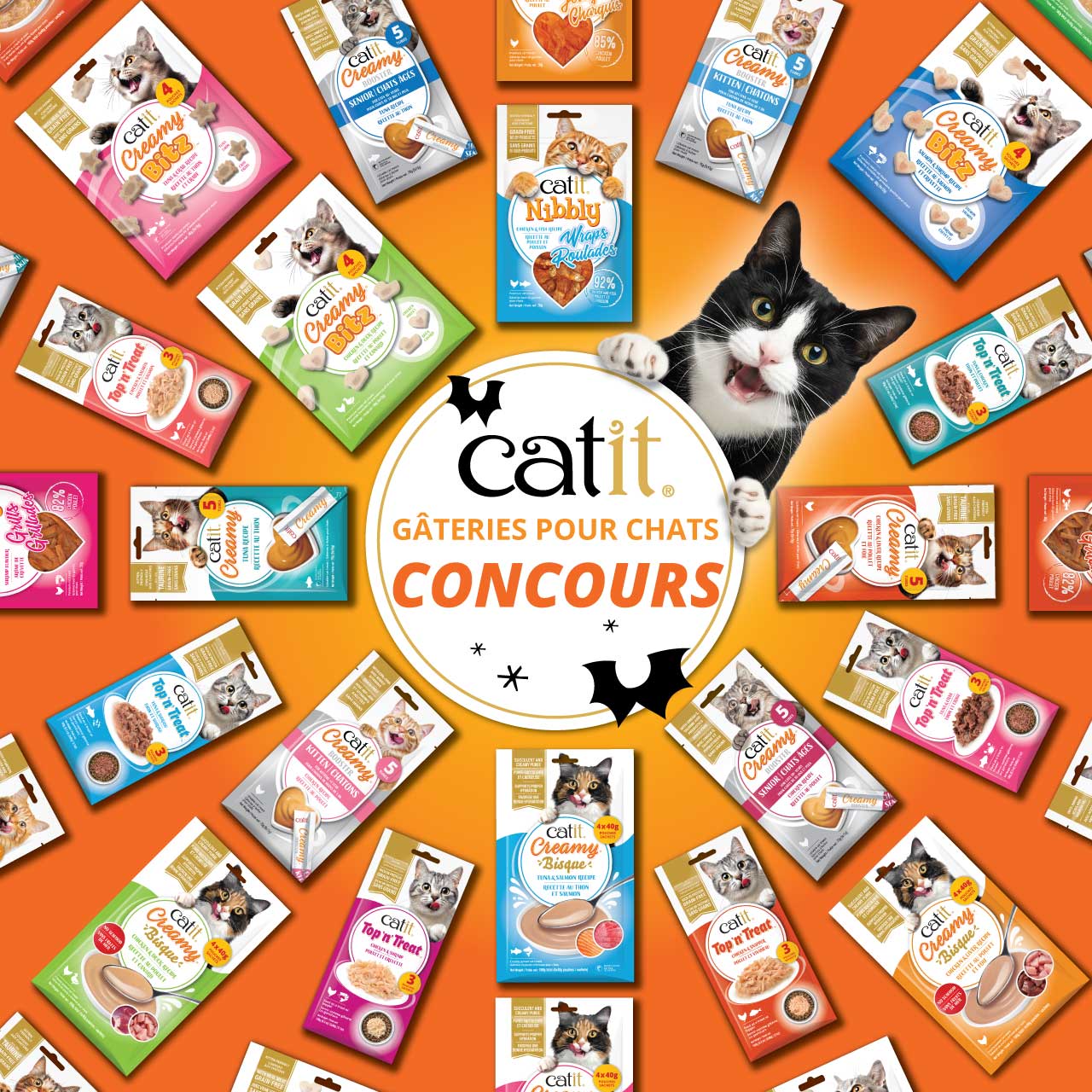 Cercle au centre avec « Cat treats Giveaway », entouré d’emballages de friandises Catit et d’un chat souriant.