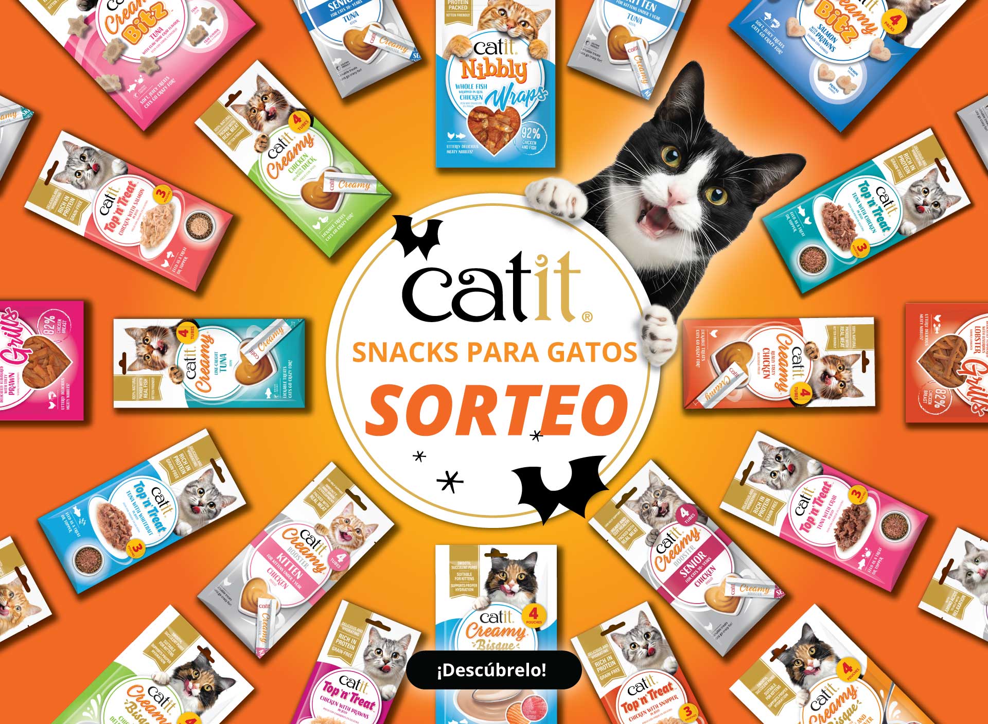 Golosinas para gatos Catit: ¡sorteo! Gato negro junto a un círculo con el logotipo y el eslogan. Alrededor de los envases de Catit Treats sobre un fondo naranja de Halloween. ¡Descúbrelo!