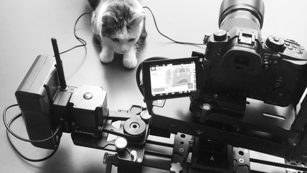 Un gato tricolor junto a un sistema de cámaras controlado por ordenador.