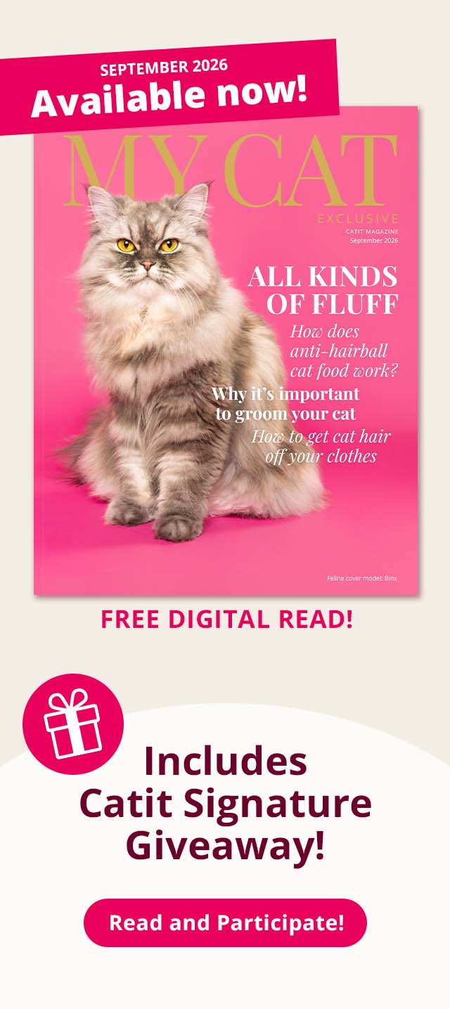 Catit Magazine September 2026