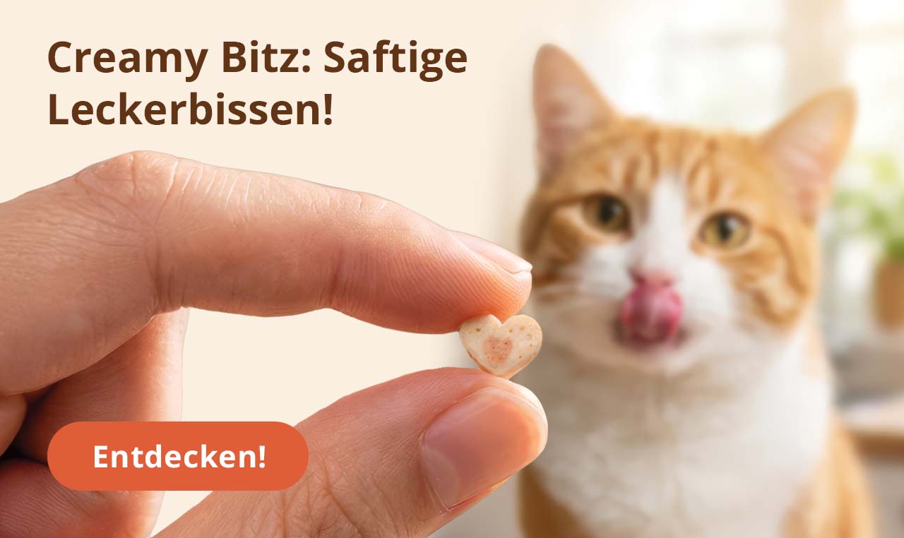 Creamy Bitz: Saftige Leckerbissen!