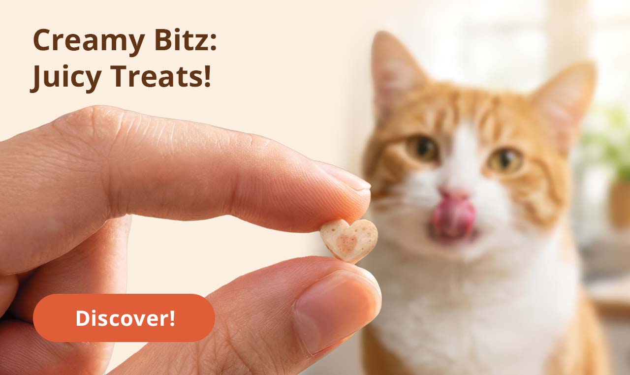 Creamy Bitz: Juicy Treats! Discover our juicy treats.