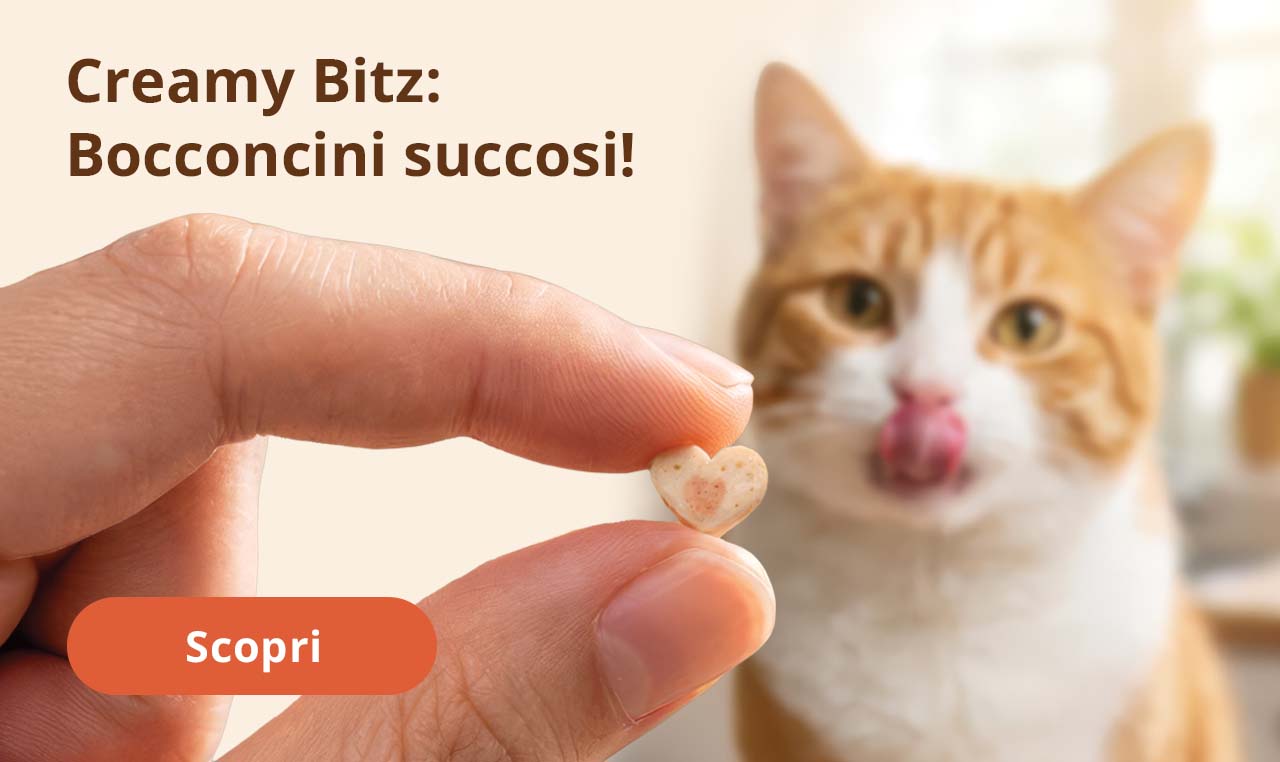Creamy Bitz:
Bocconcini succosi!