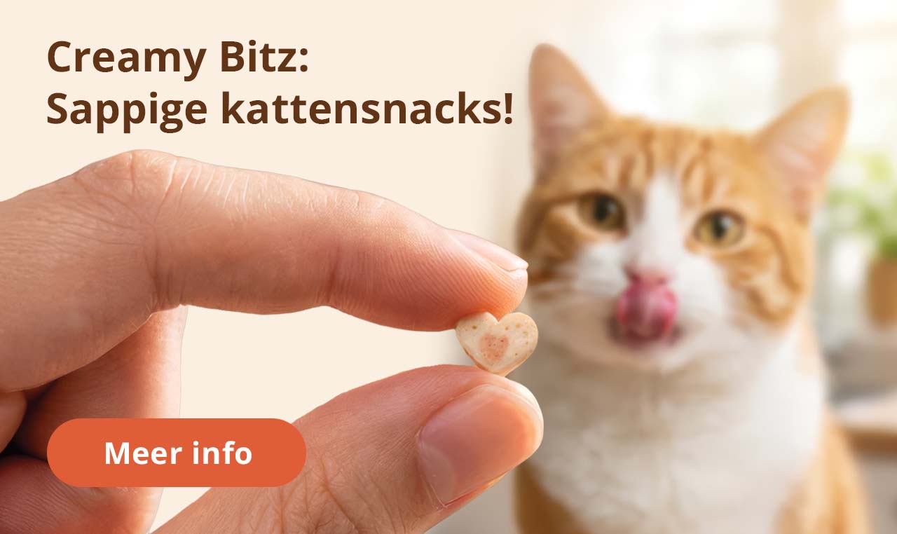 Creamy Bitz: Sappige kattensnacks!
