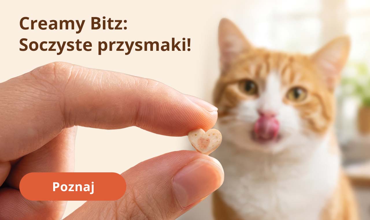 Creamy Bitz:
Soczyste przysmaki!