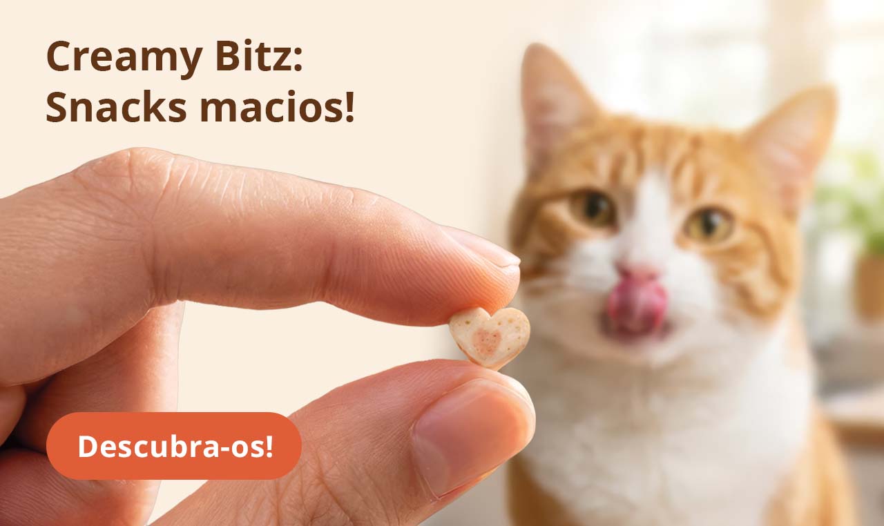 Creamy Bitz: Snacks macios!