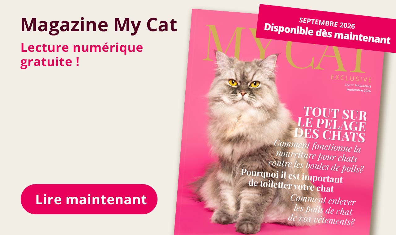 Magazine My Cat - Septembre 2026