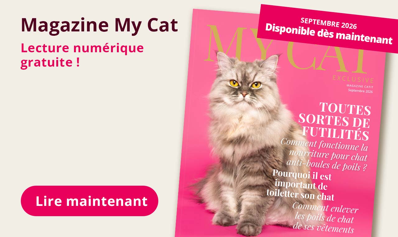 Magazine My Cat - Septembre 2026