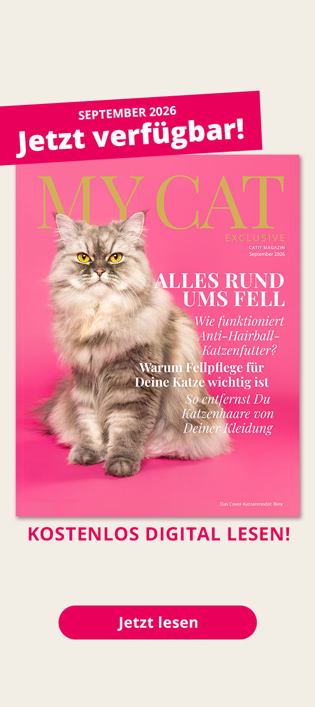 Magazin Catit - September 2026