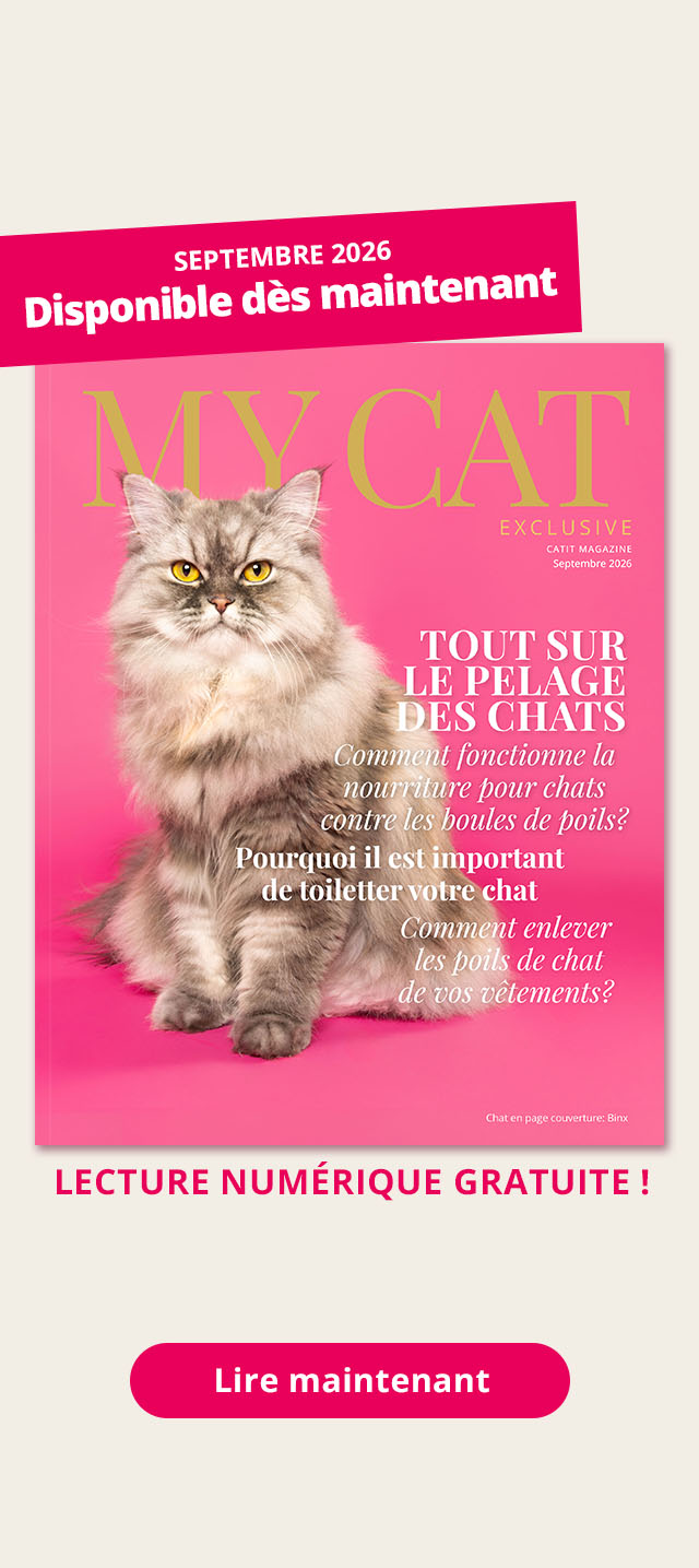 Magazine My Cat - Septembre 2026