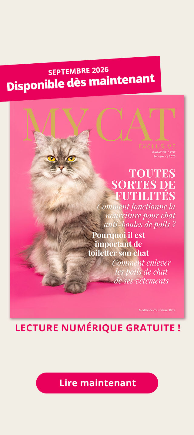 Magazine My Cat - Septembre 2026
