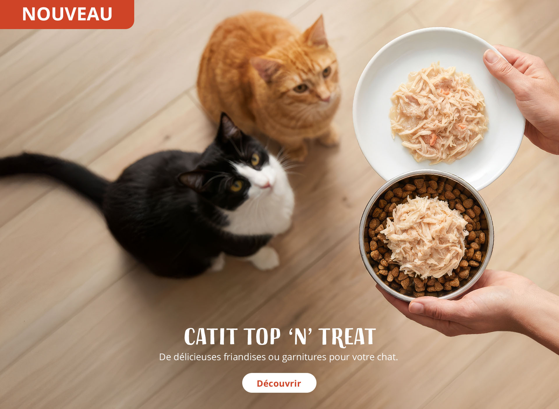 Deux chats regardant deux assiettes avec un « Catit Top “n” Treat »