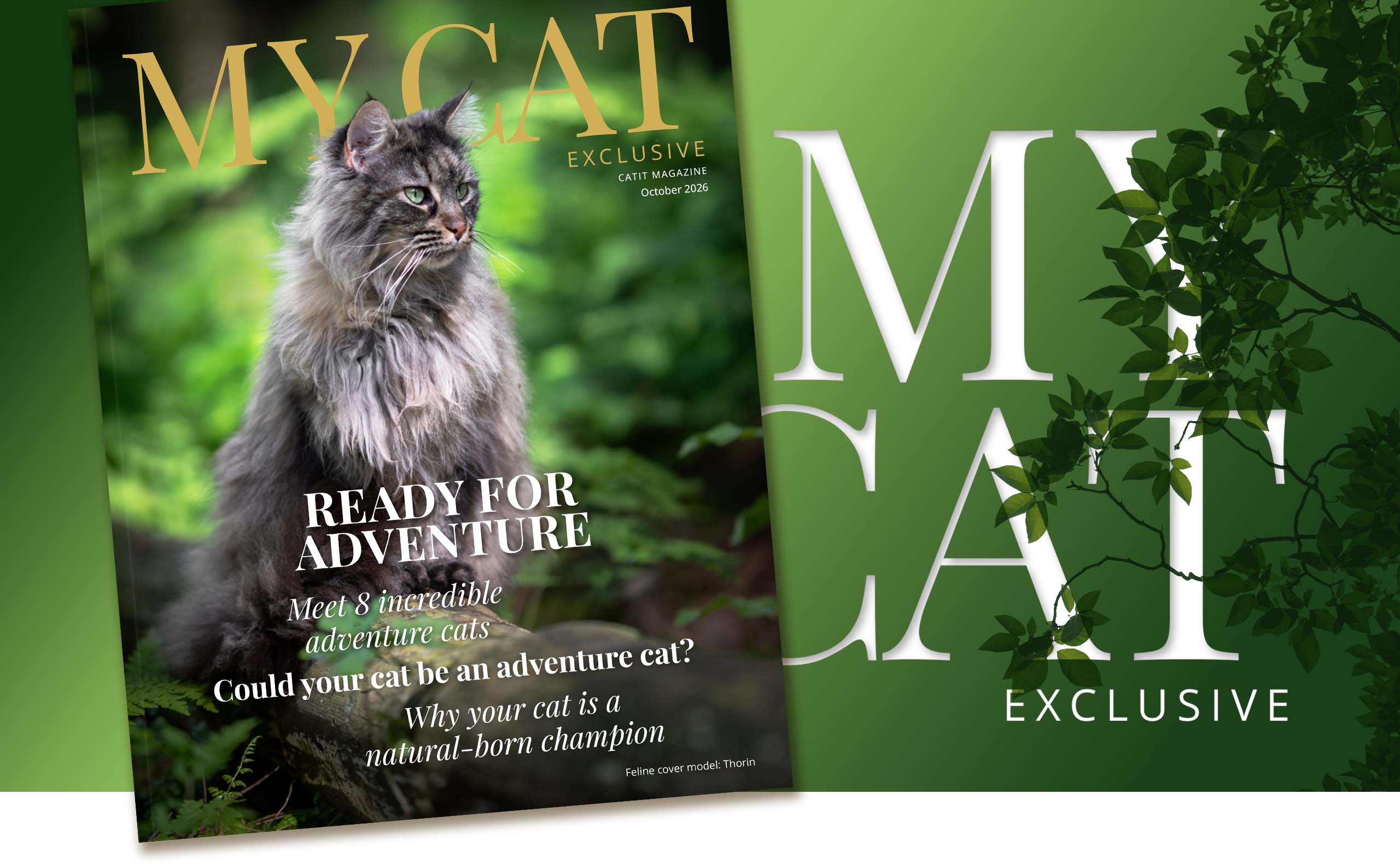 My Cat Magazine cover on a green background with leaves featuring the text ‘My Cat’ in white.