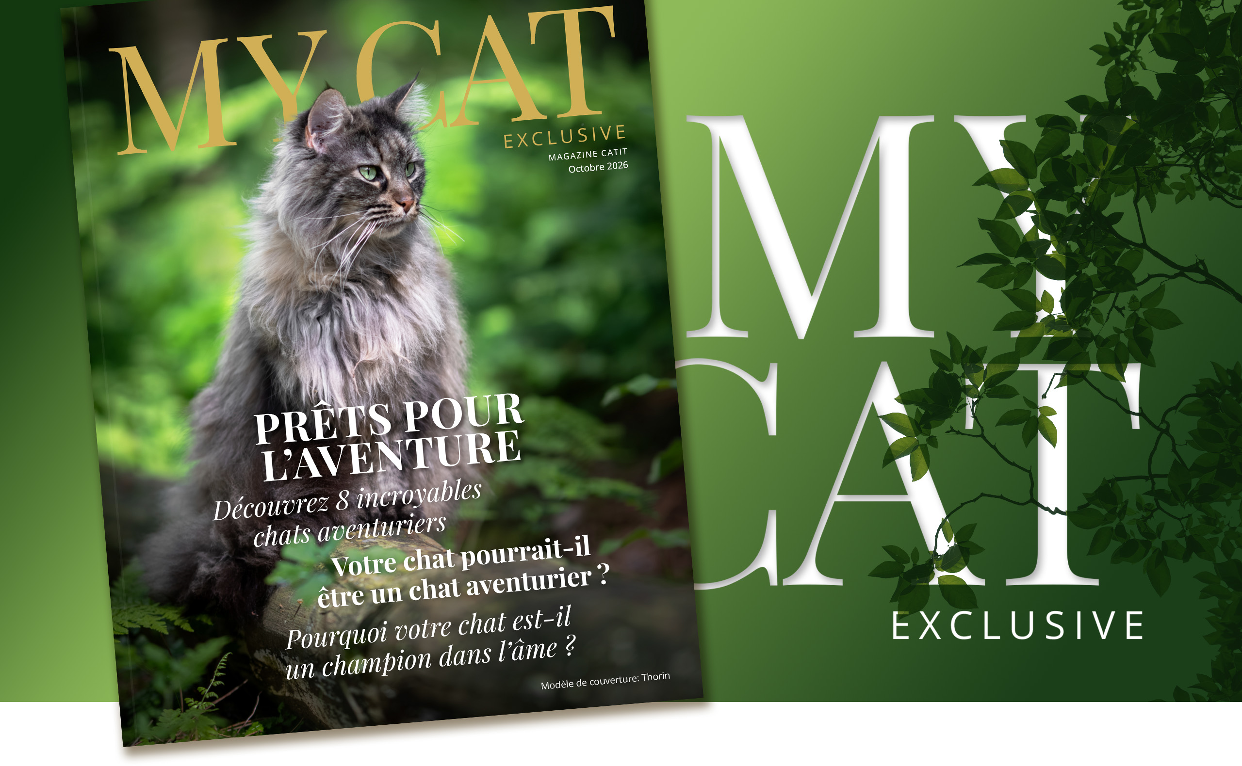Couverture du magazine My Cat sur un fond vert avec des feuilles, avec le texte « My Cat » en blanc.