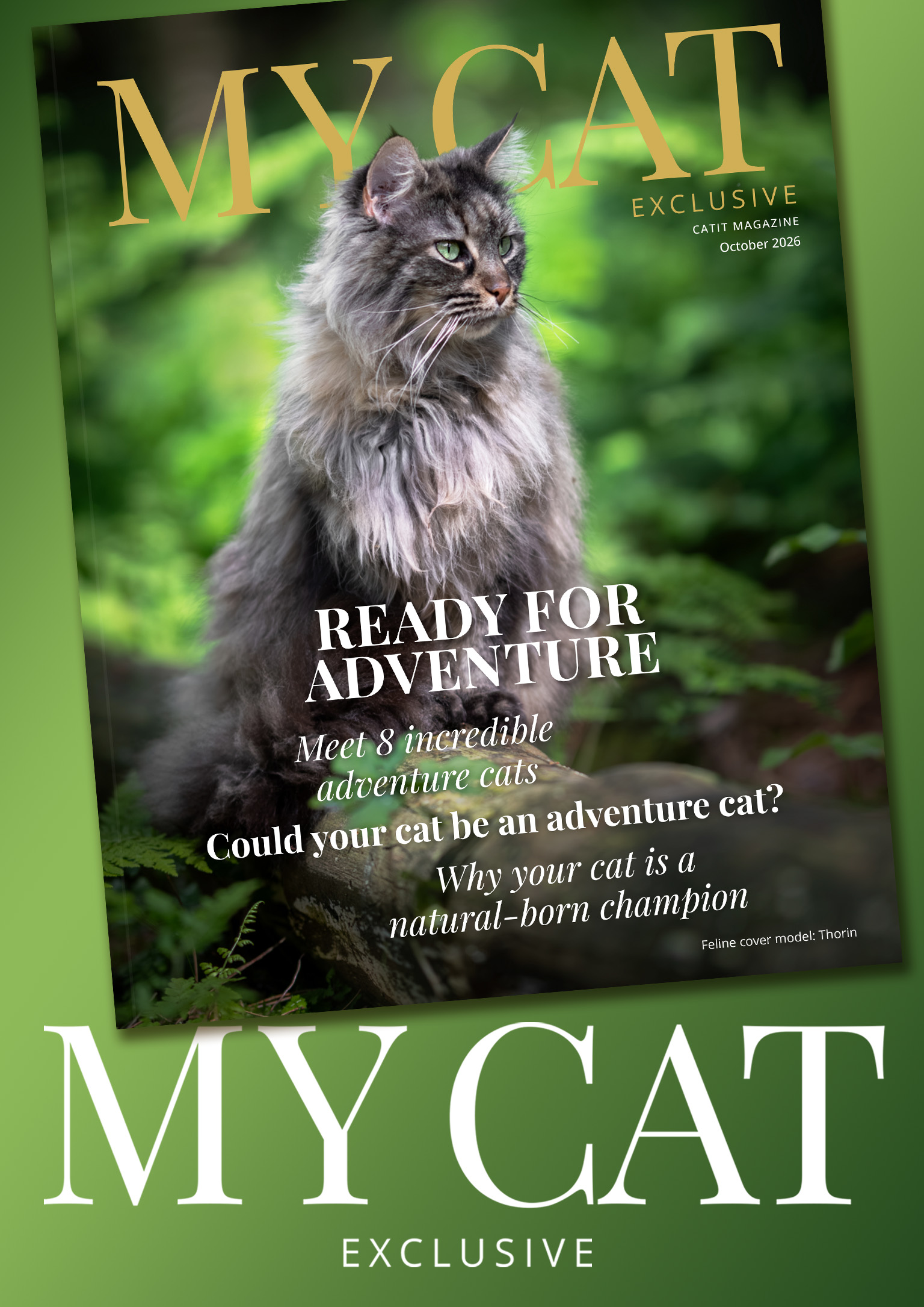 My Cat Magazine cover on a green background featuring the text ‘My Cat’ in white.