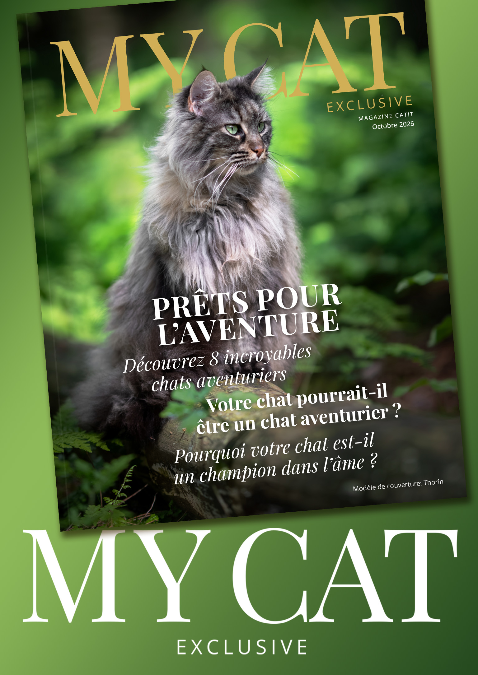 Couverture du magazine My Cat sur un fond vert, avec le texte « My Cat » en blanc.