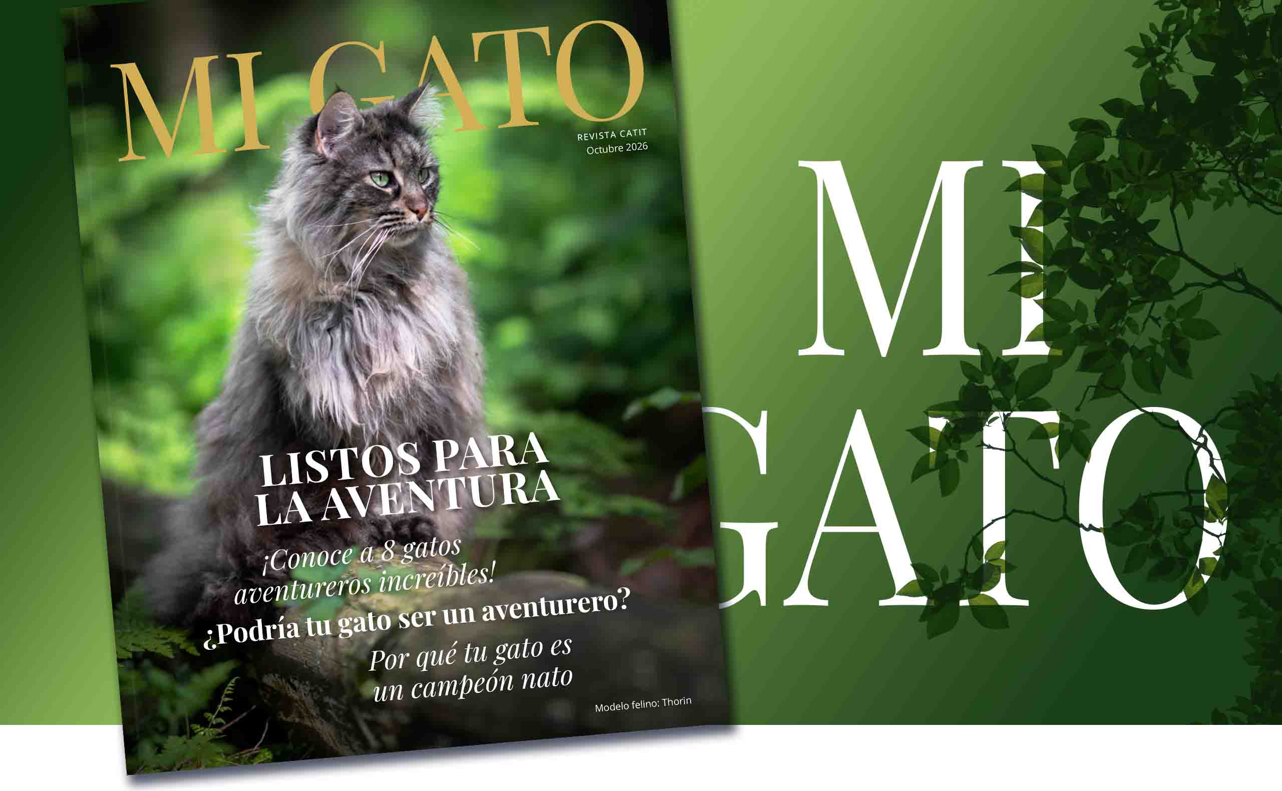 Portada de la revista My Cat sobre un fondo verde con hojas y el texto «My Cat» en blanco.