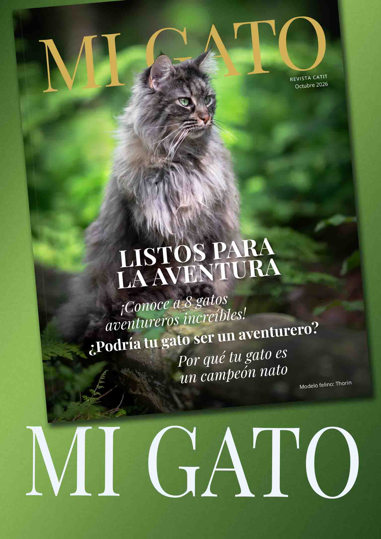 Portada de la revista My Cat sobre un fondo verde con el texto «My Cat» en blanco.