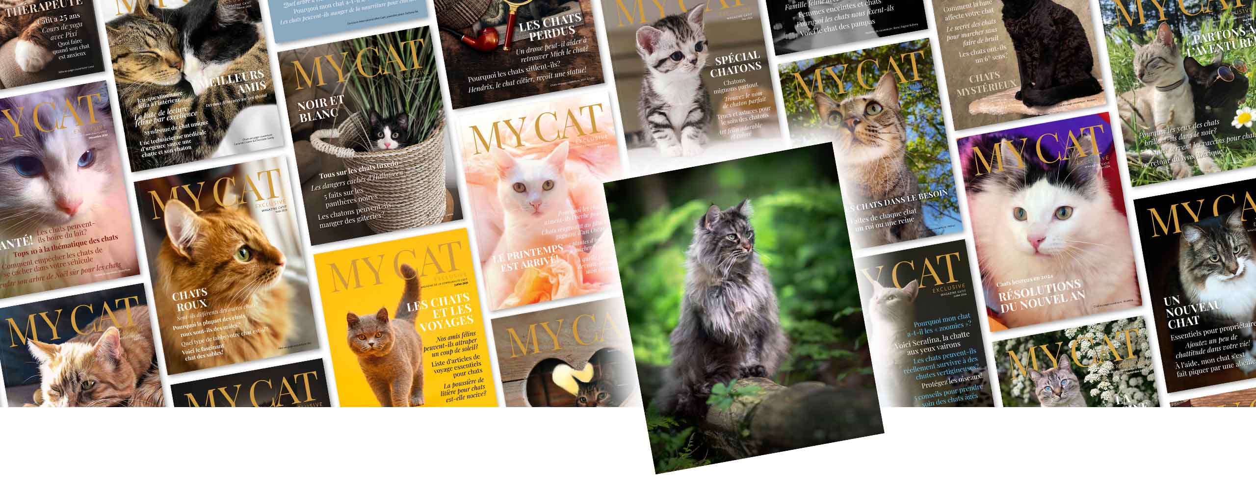 Un collage de couvertures du magazine « My Cat » avec l’image d’un Maine coon assis sur une souche d’arbre dans une forêt.
