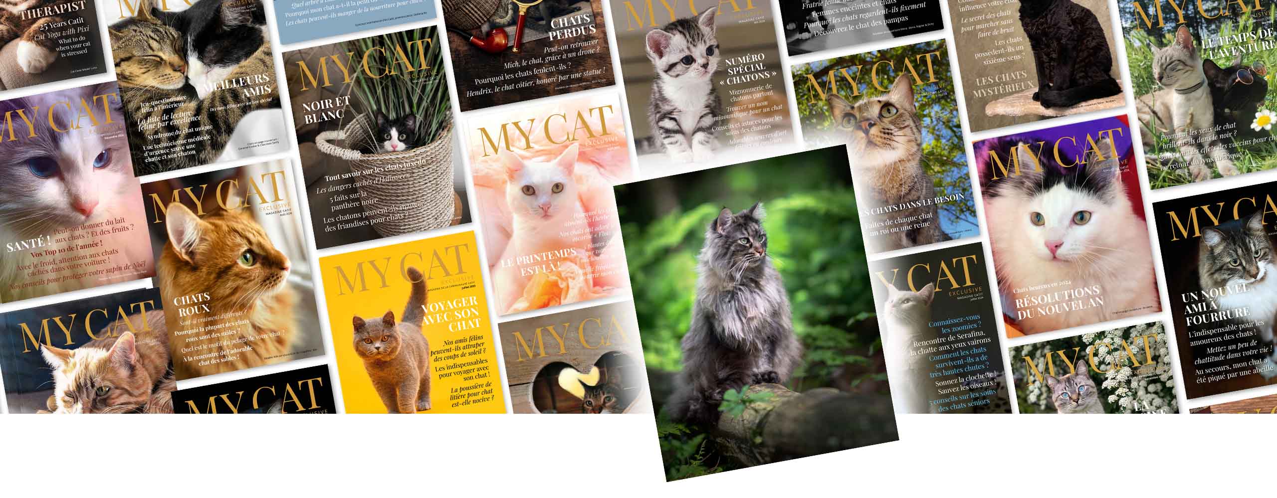 Un photo montage de couvertures du magazine My Cat, avec un Maine Coon assis sur une souche d’arbre dans une forêt