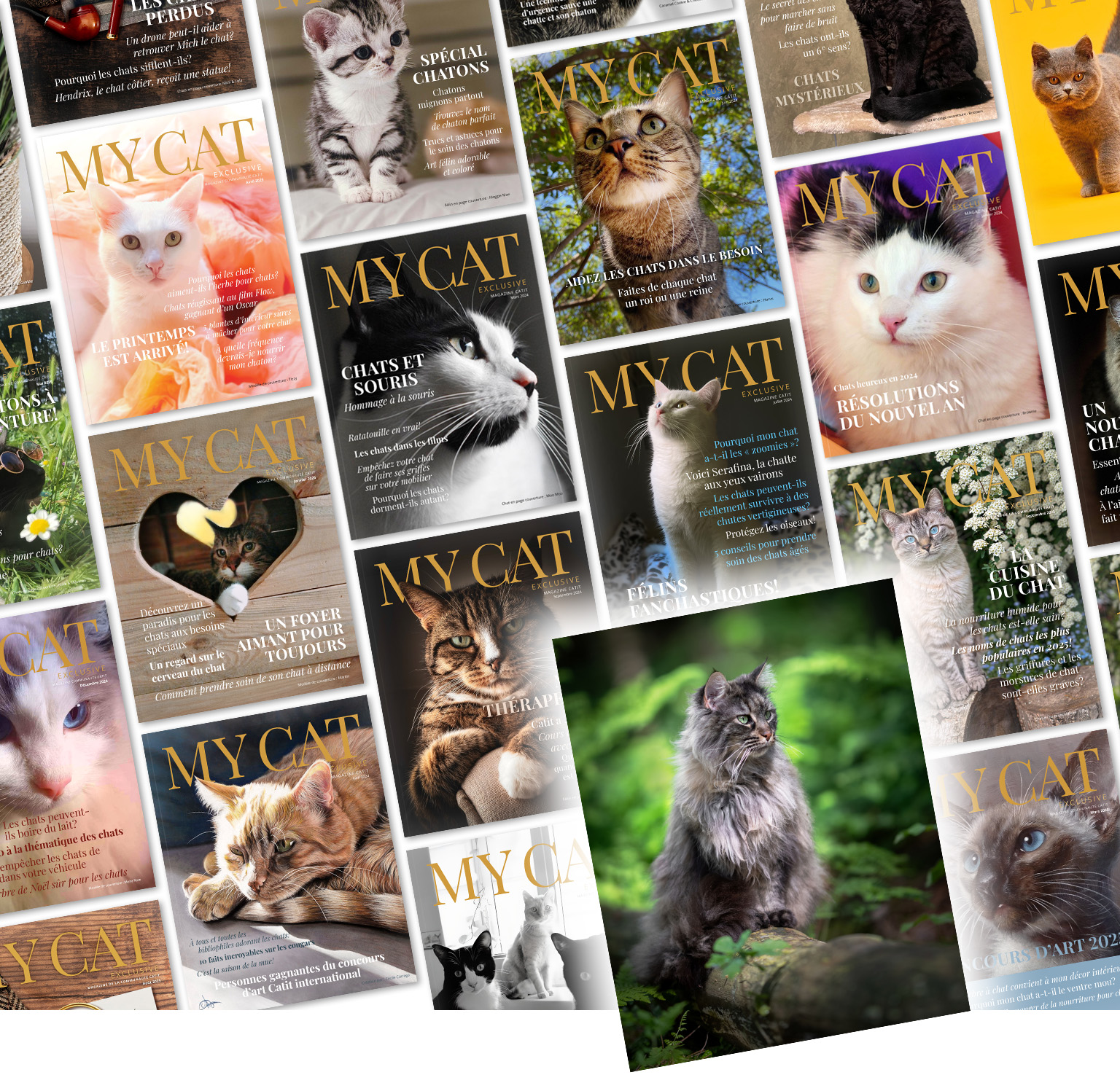 Un collage de couvertures du magazine « My Cat » avec l’image d’un Maine coon assis sur une souche d’arbre dans une forêt.