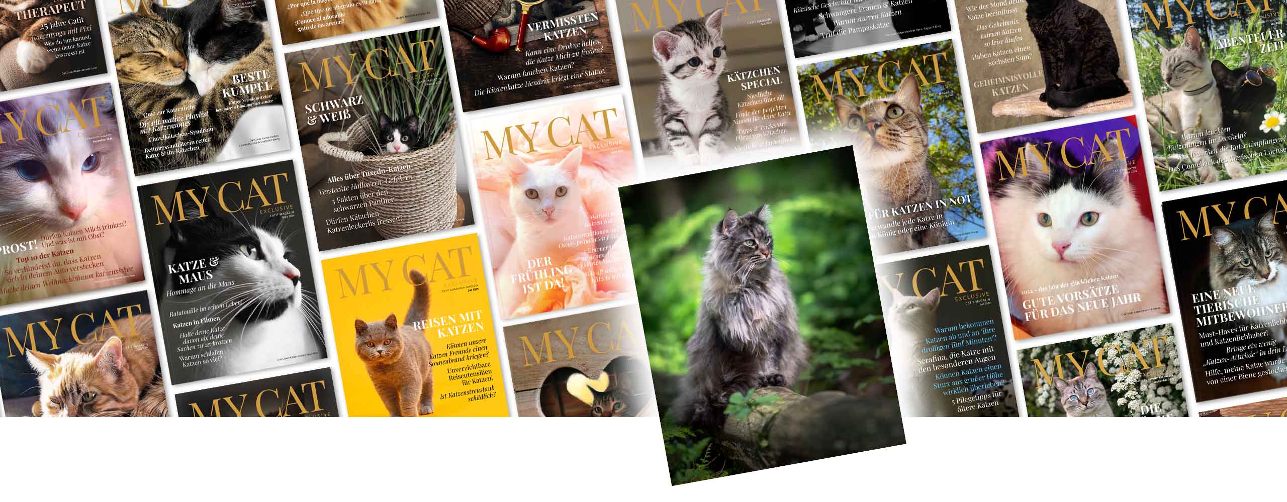 Eine Collage aus Covern von „My Cat – Catit Magazin“ mit dem Bild einer Maine-Coon-Katze, die in einem Wald auf einem Baumstumpf sitzt.