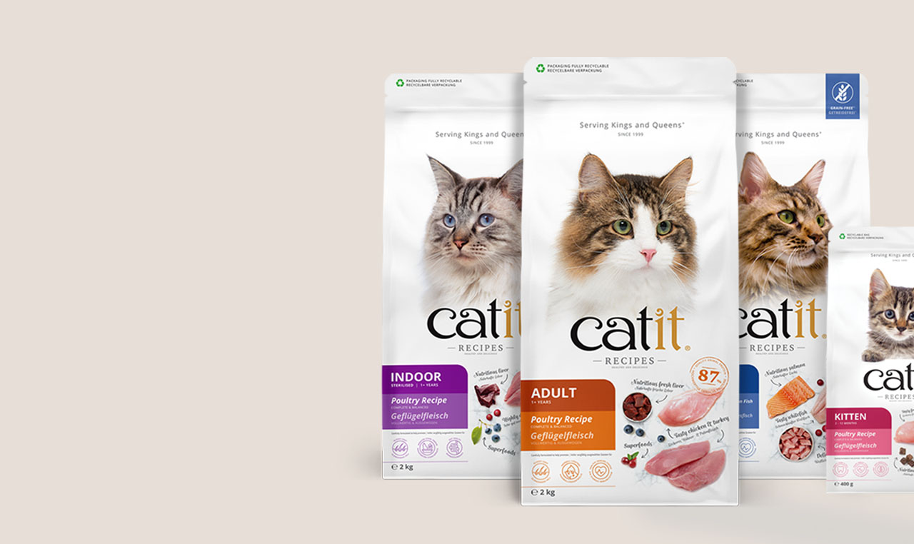 4 bags of Catit Recipes Food, one indoor, one adult, one adult fish and one kitten